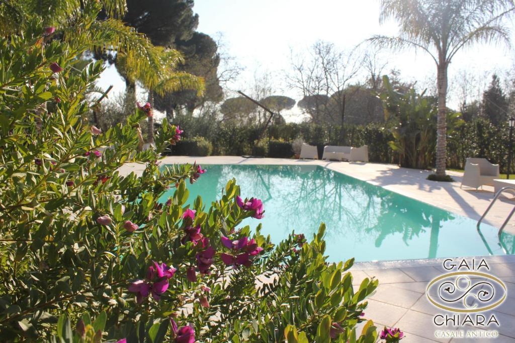 קאסרטה Gaiachiara Resort מראה חיצוני תמונה